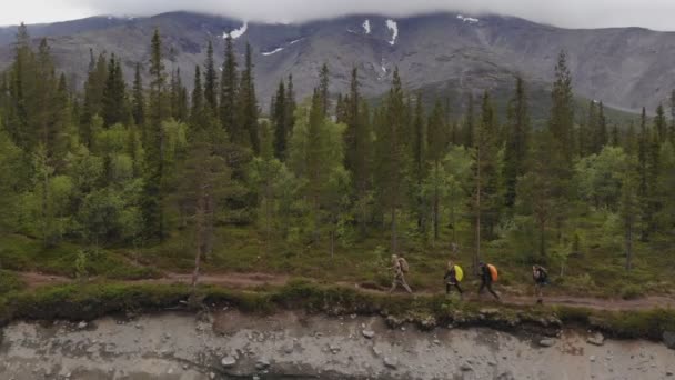 Air sköt en glad grupp unga turister promenader längs en skogsstig längs en bergsflod — Stockvideo