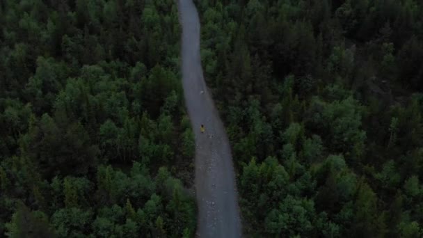 空中で黄色いレインコートを着た女の子が森の中を走る. — ストック動画