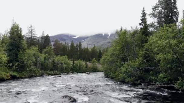 Aérien - Voler bas au-dessus de la rivière de montagne se frayant un chemin à travers la vallée . — Video