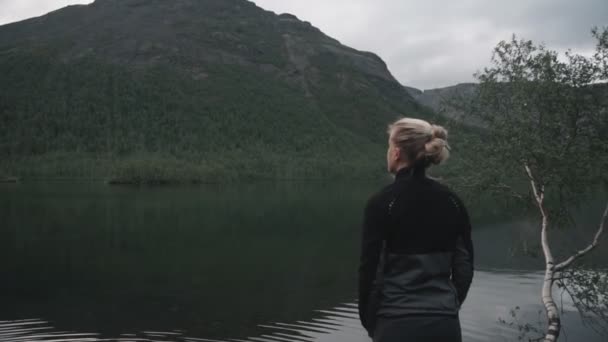 Kayanın üzerinde duran ve dağlarla ufka bakan kızın arka görüntüsü. Tatil, seyahat ve macera konsepti — Stok video