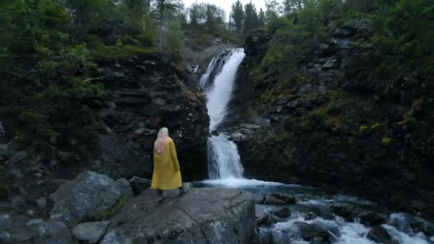 Vue aérienne depuis le dos d'une voyageuse aux longs cheveux blonds admire la belle cascade — Video