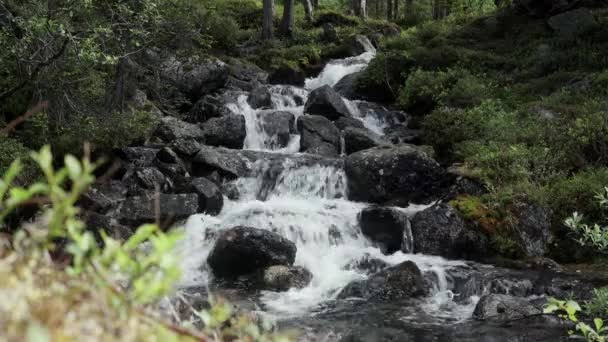 Belle cascade en creusant son chemin à travers la vallée de montagne. Air propre, frais et respectueux de l'environnement — Video