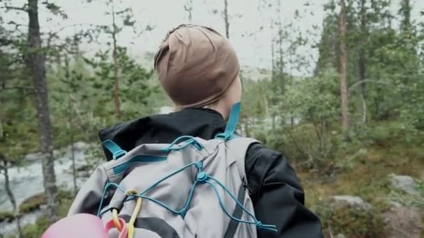 Un turista o un viajero admira una hermosa vista del paisaje natural y la vida silvestre. Vista trasera — Vídeo de stock