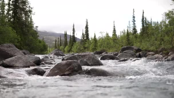 Een stormachtige rivier die zich een weg baant door het bergdal. — Stockvideo