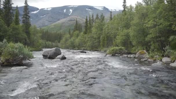 Un ruisseau orageux de rivière creusant son chemin à travers la vallée de montagne . — Video