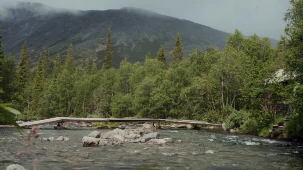 Träbro över den vackra bergsfloden i den natursköna skogen. Hibini — Stockvideo