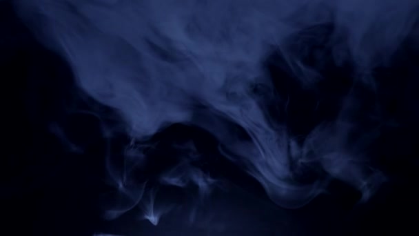 Blauwe rook op zwarte achtergrond — Stockvideo