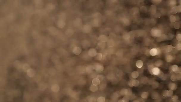 Parlak altın parçacıkları olan soyut bir arkaplan. Altın parıltısı — Stok video