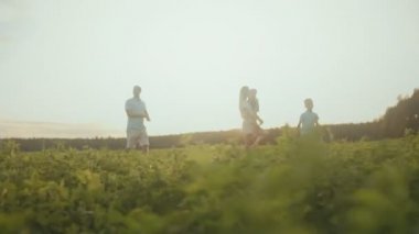 Dört kişilik bir aile tarlada yürüyor ve etrafta takılıyor..