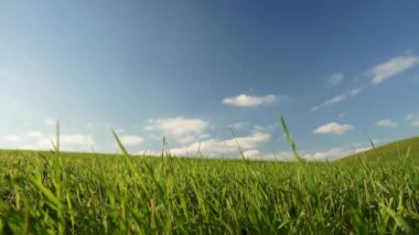 Yeşil çimenler ve bulutlu mavi gökyüzü. Huzur, sessizlik ve rahatlama konsepti. 