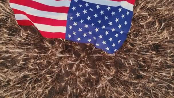 Κορυφή άποψη ΗΠΑ αμερικανική σημαία χυθεί στο χρυσό πεδίο σιταριού — Αρχείο Βίντεο