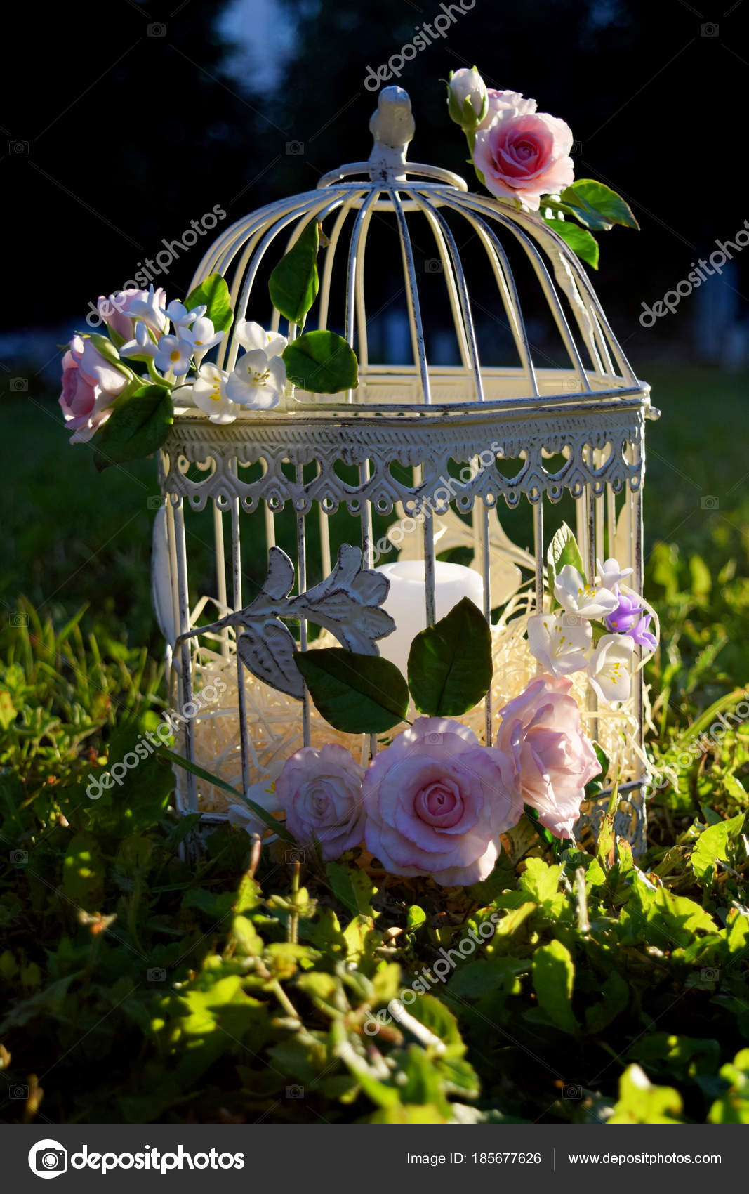 Cage à Oiseaux Avec Des Fleurs De Fleur De Printemps