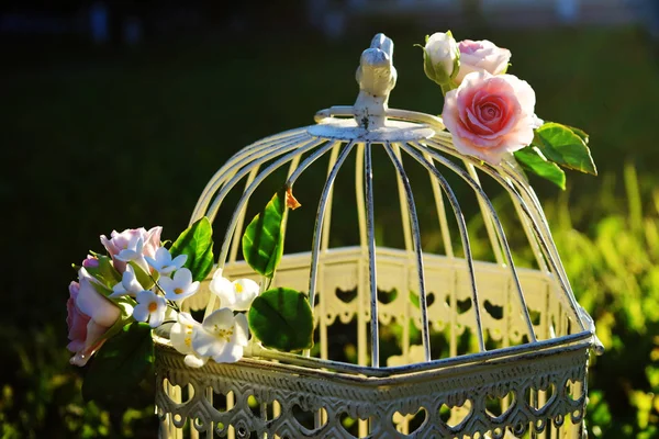 Bird cage with spring blossom flowers. Wedding decorations. Royalty Free Stock Images