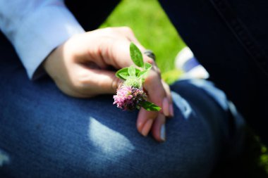 Genç kadının closeup holding kır çiçekleri eller. Yonca elinde.