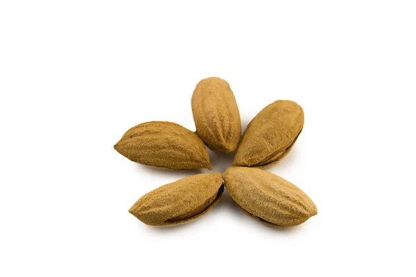 Almendras encascaradas, frutos secos aislados sobre fondo blanco —  Fotos de Stock