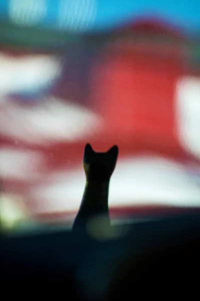 La silueta de un gato negro en un techo. Gato negro . — Foto de Stock