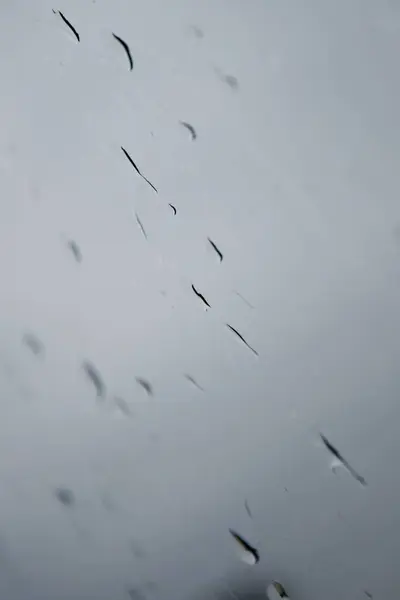 Arka plan yağmur damlaları penceresinde — Stok fotoğraf