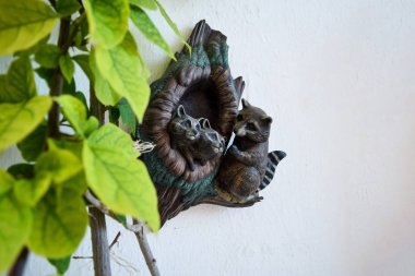 Şirin komik rakunlar. Rakunlar şeklinde duvardaki dekorasyon