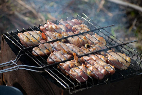 Pieces of meat shish kebab with vegetables are prepared in the grill — Stock Photo, Image