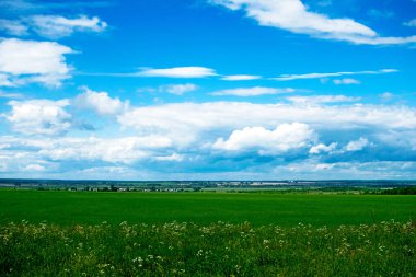 Yeşil alan ve mavi bulutlar. Yaz manzarası.