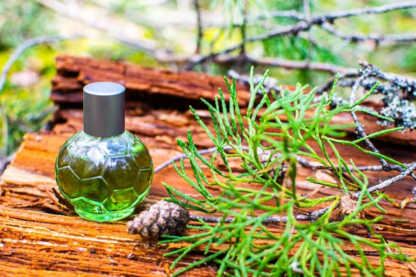 Perfume bottle on a natural background. Natural ingredients and eco-friendly materials. — Stock Photo, Image