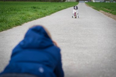 Parkta köpek gezdiren genç bir kadın.