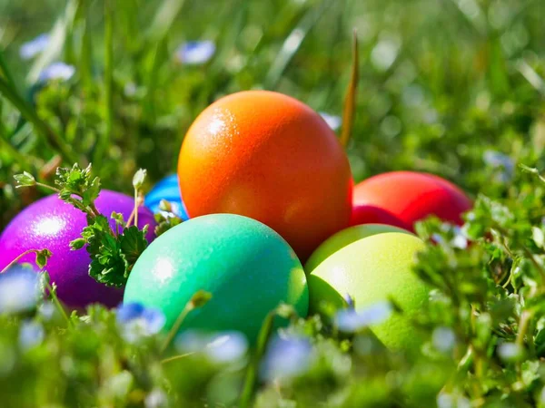 Fondo Para Pascua Con Huevos Flores Sobre Hierba —  Fotos de Stock