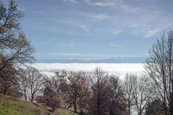 Vista Para Montanhas Nuvens Fundo Árvores — Fotografia de Stock