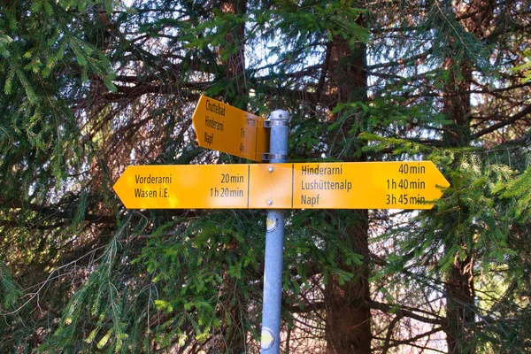 Parkta okları olan sarı yol işareti