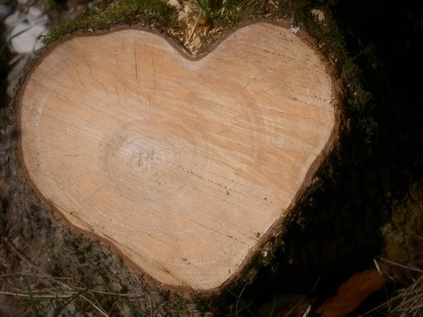 Ağaçta kalp şekli, ahşap yüzey.