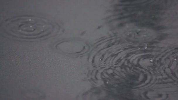 Drops Rain Puddle Close View — Stock Video