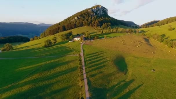 緑豊かな緑に囲まれた素晴らしい山の風景を空中から眺め — ストック動画