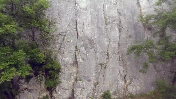 Amazing Landscape Rock Formation Green Trees Clear Blue Sky Sunny — Stock Video