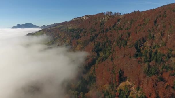 Quitter Point Vue Brouillard — Video