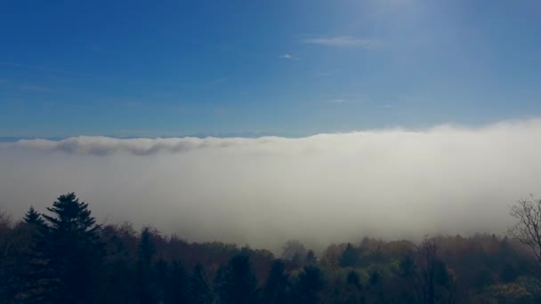 离开雾的观点 — 图库视频影像