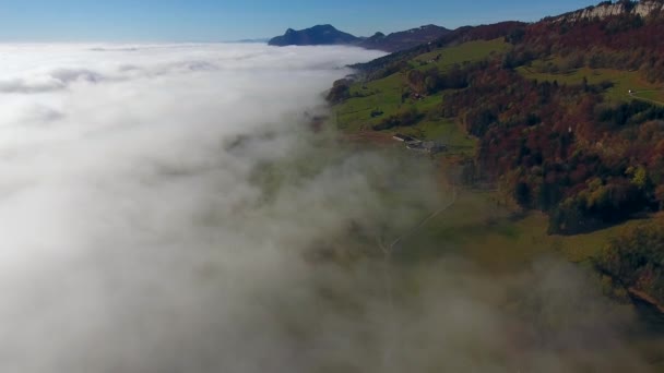 Залишити Точку Зору Туману — стокове відео