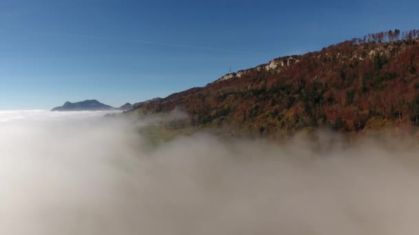 Leave Fog Point View — Stock Video