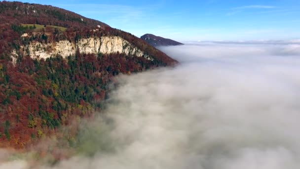 Quitter Point Vue Brouillard — Video