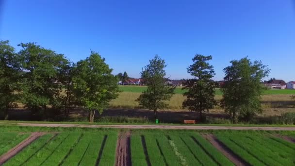 緑の野や空の田舎道木や村の家の空中風景 — ストック動画