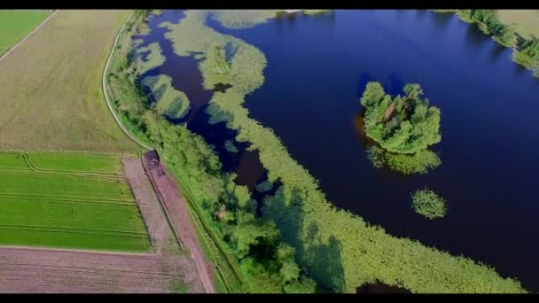 Vista Aérea Del Gran Estanque Verano — Vídeo de stock