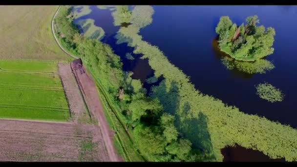 Aerial View Big Pond Summer — Stock Video