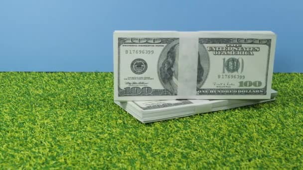 Dollar Biljetten Groen Gras Blauwe Achtergrond — Stockvideo