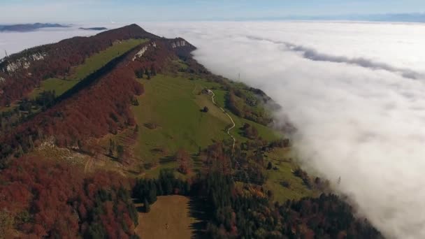 Quitter Point Vue Brouillard — Video