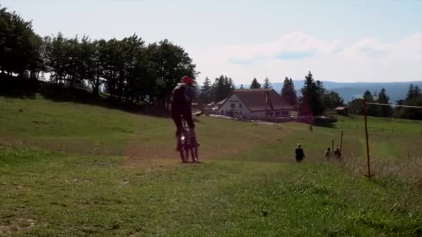 Pessoas Passam Tempo Campo Caminhando Grama Verde Andar Bicicleta — Vídeo de Stock