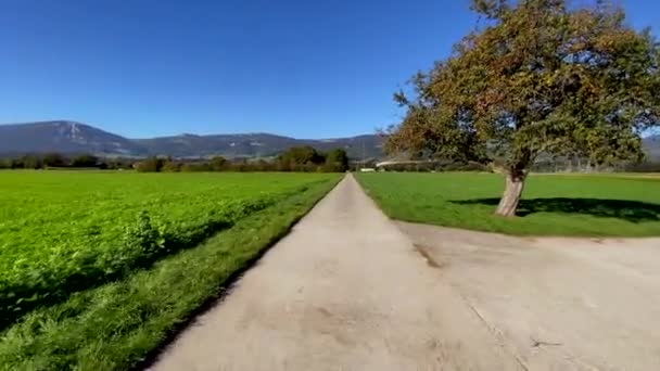 阳光普照的乡村道路 绿地和风景秀丽的高山 — 图库视频影像