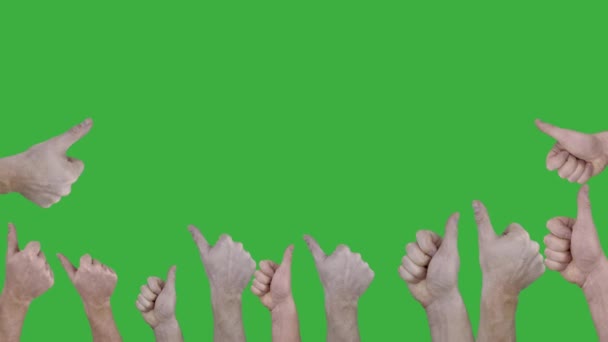 Hands People Showing Thumbs Isolated Background — ストック動画