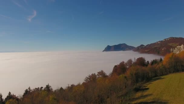 Lasciare Punto Vista Della Nebbia — Video Stock