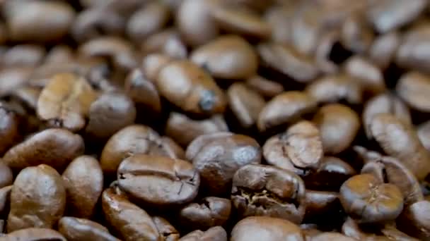 Material Primer Plano Granos Café Tostados — Vídeo de stock