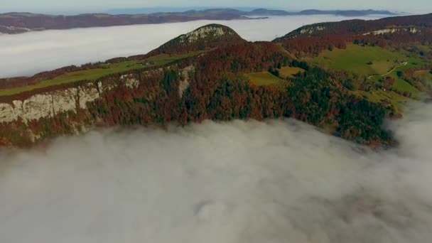 Залишити Точку Зору Туману — стокове відео