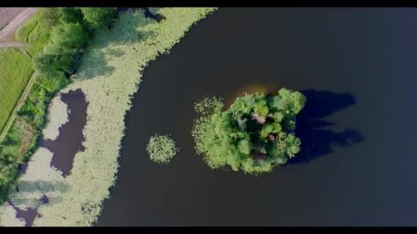 Vue Aérienne Grand Étang Été — Video